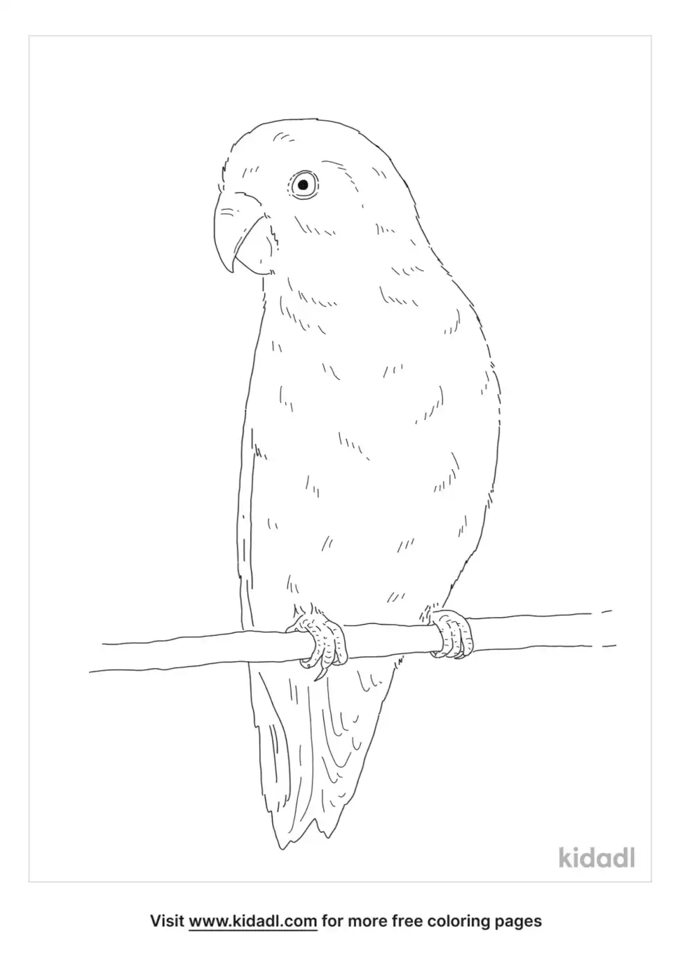 Green-Rumped Parrotlet Coloring Page