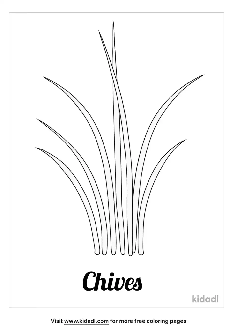 Chives Coloring Page