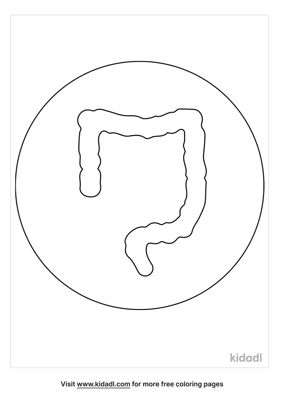 Colon Coloring Page
