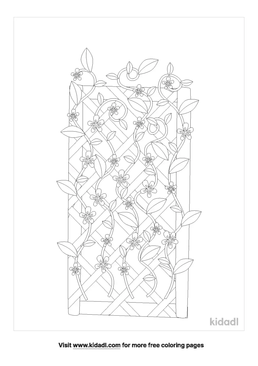 Flower And Trellis Coloring Page