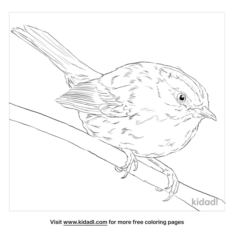 Golden-Crowned Warbler Coloring Page