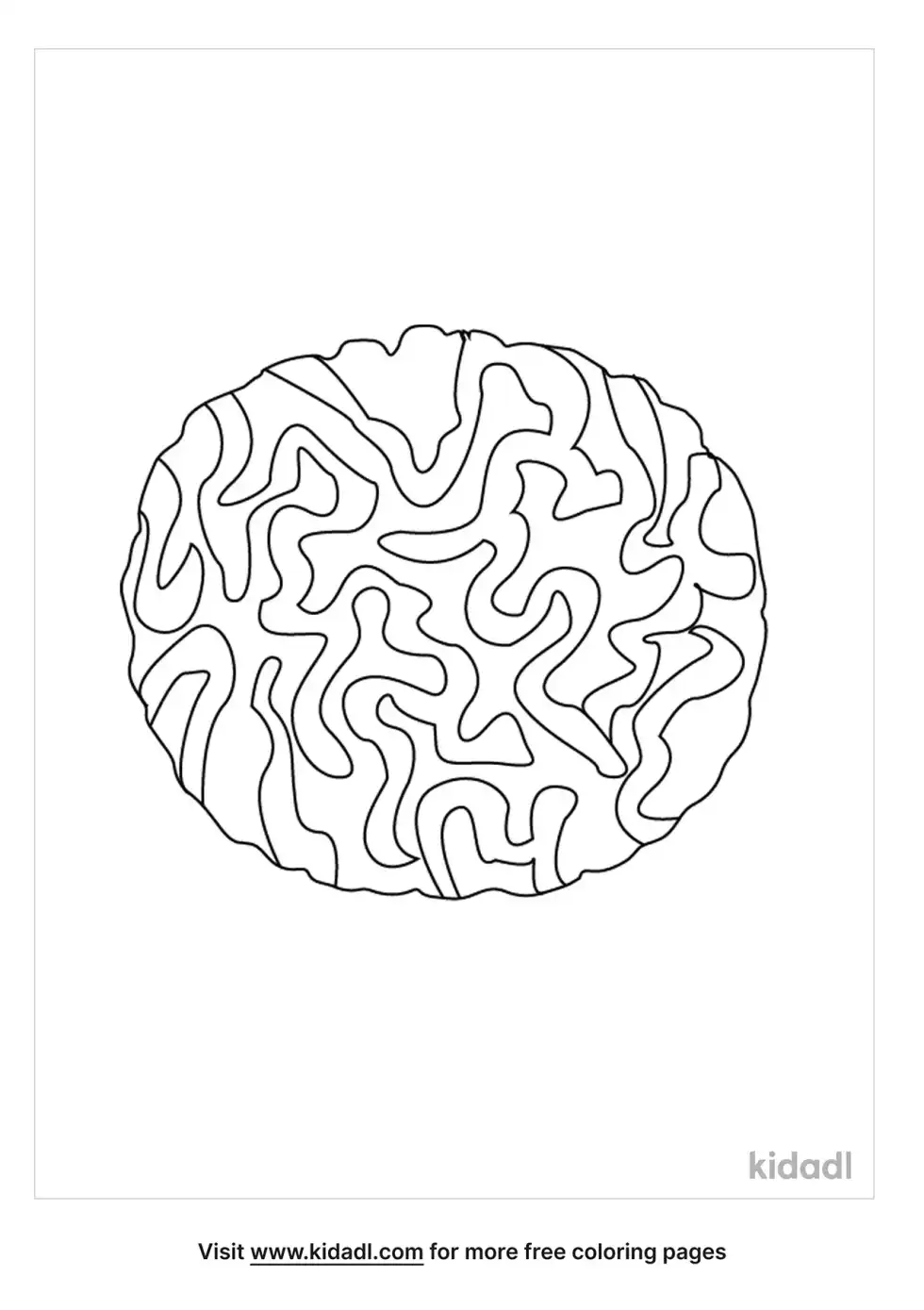 Brain Coral Coloring Page