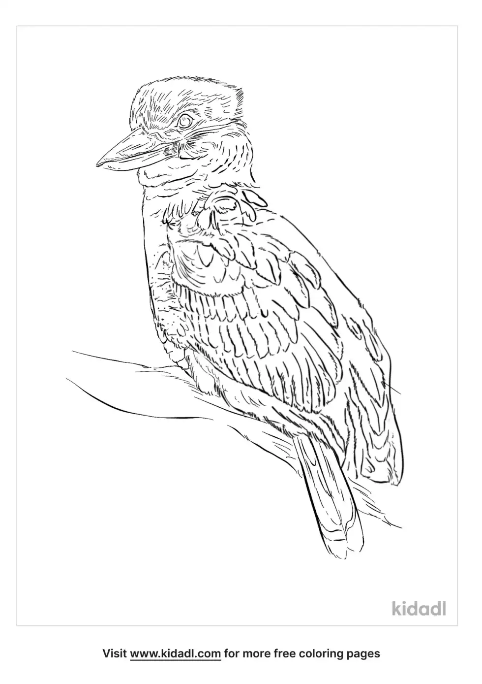 Blue Winged Kookaburra Coloring Page