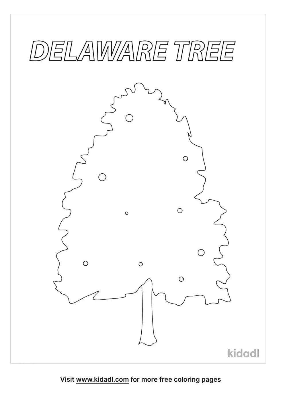 Delaware State Tree Coloring Page