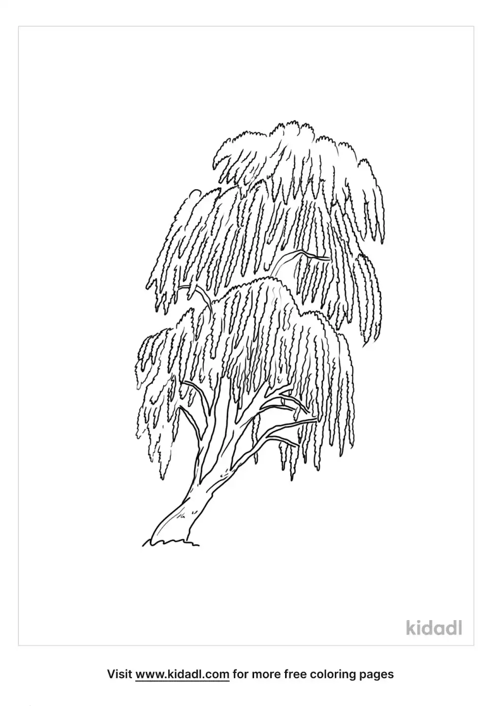 Realistic Weeping Willow Coloring Page