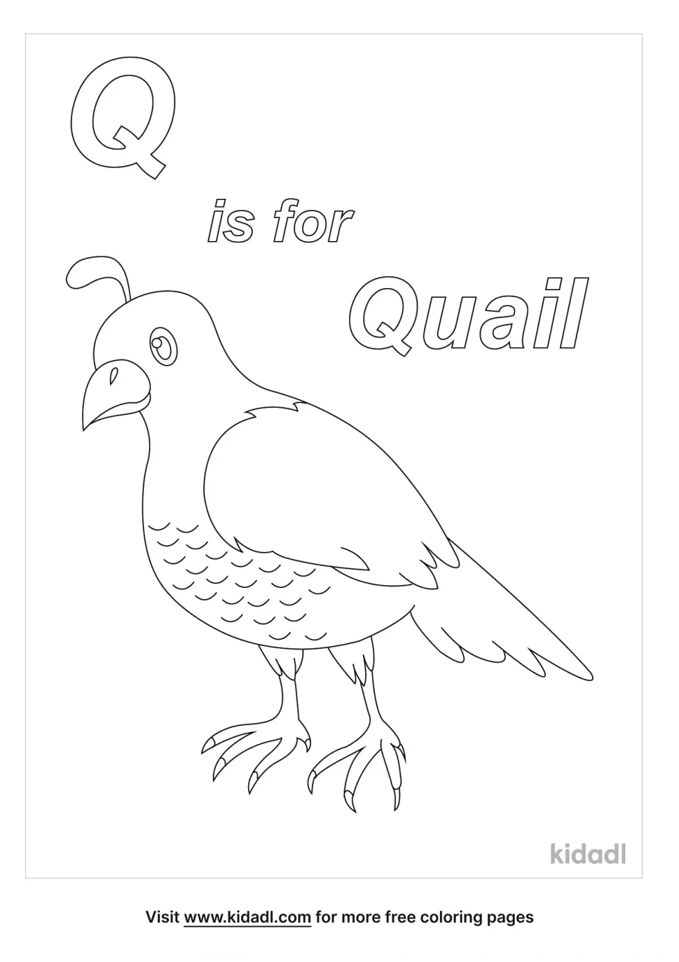 Q Is For Quail Coloring Page