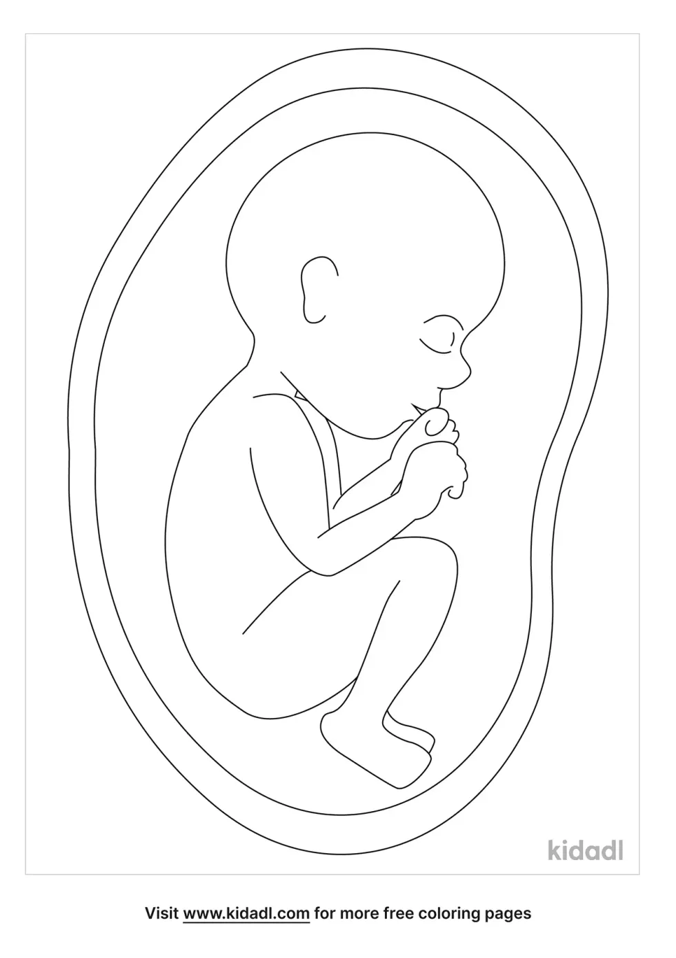Fetus Coloring Page