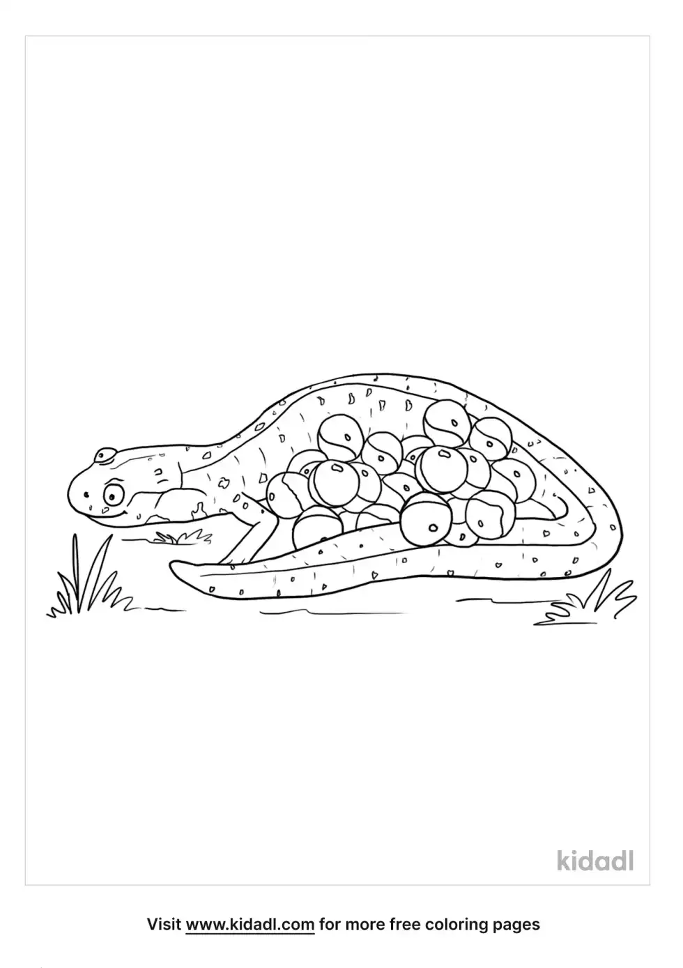 Salamander Eggs Coloring Page