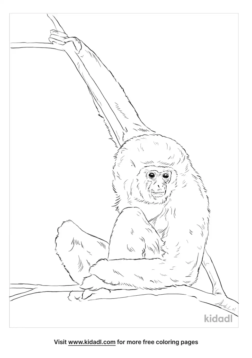 White Handed Gibbon Coloring Page