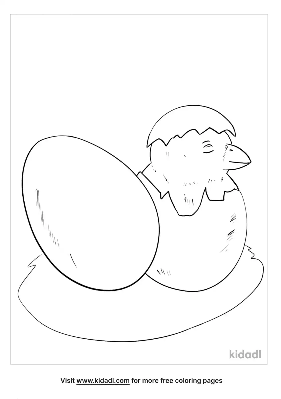 Chick Egg Development Coloring Page