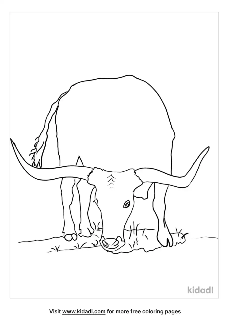 Longhorn Coloring Page