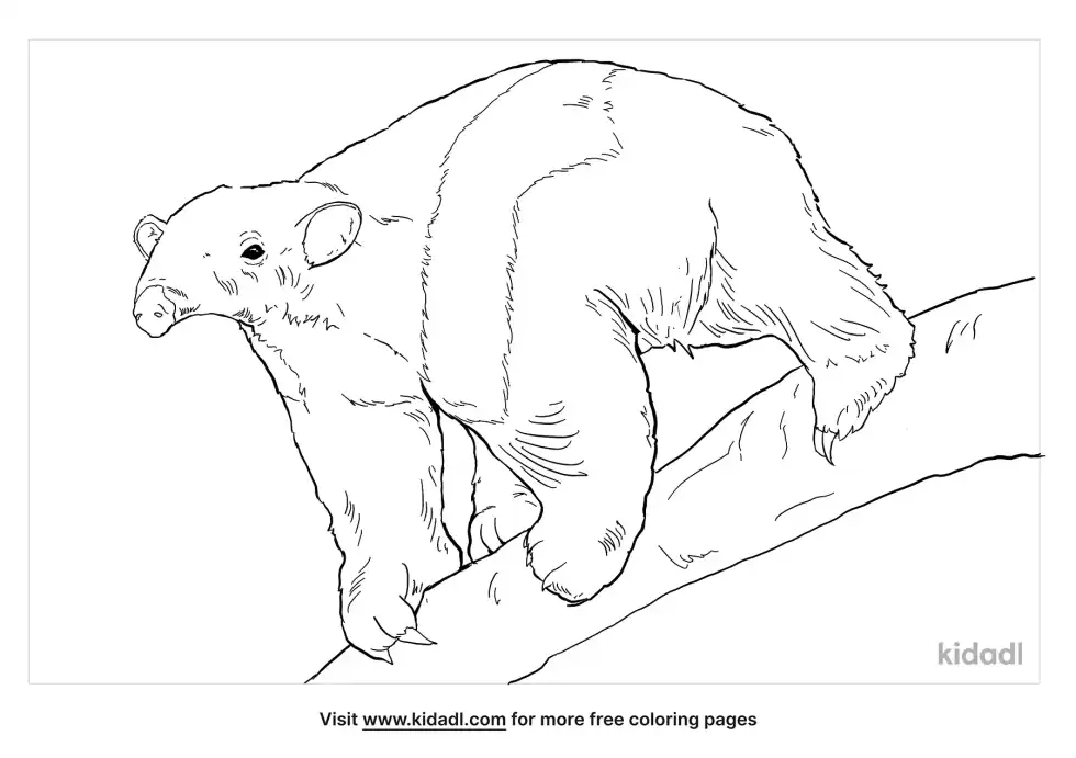 Tamandua Coloring Page