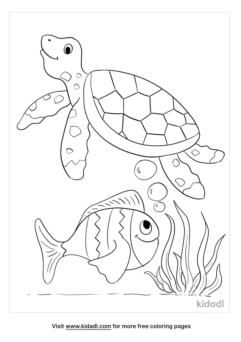 Sea Turtle And Fish | Kidadl