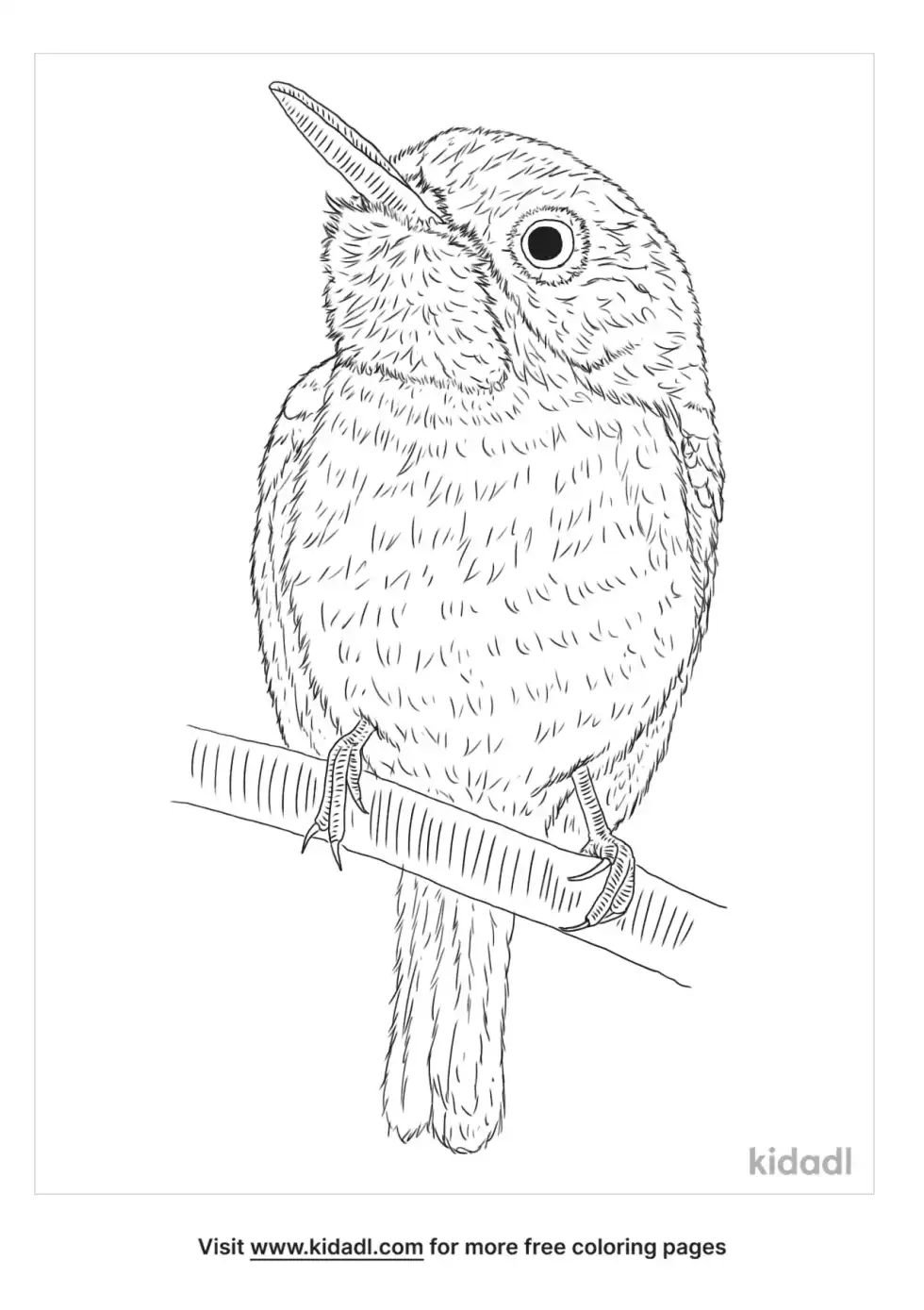 Jamaican Tody Coloring Page