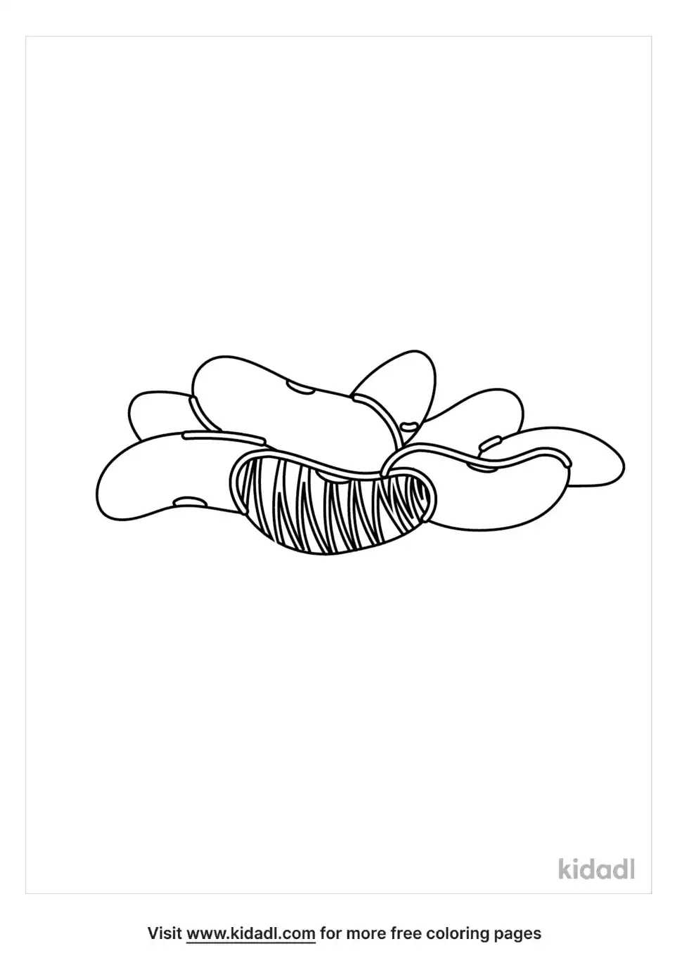 Lima Bean Coloring Page