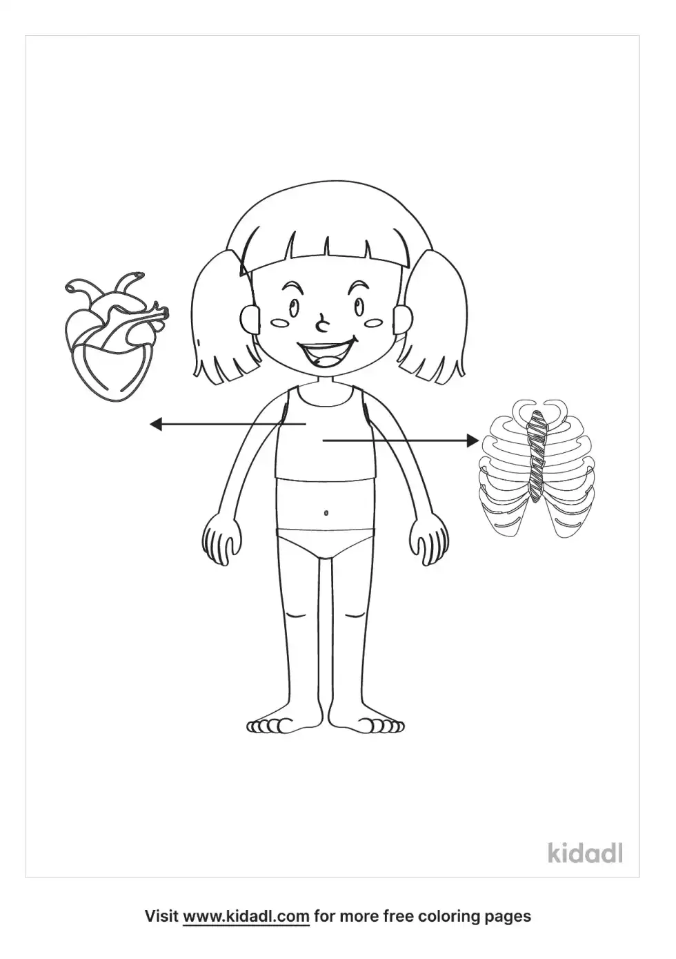 Human Anatomy For Kids Coloring Page