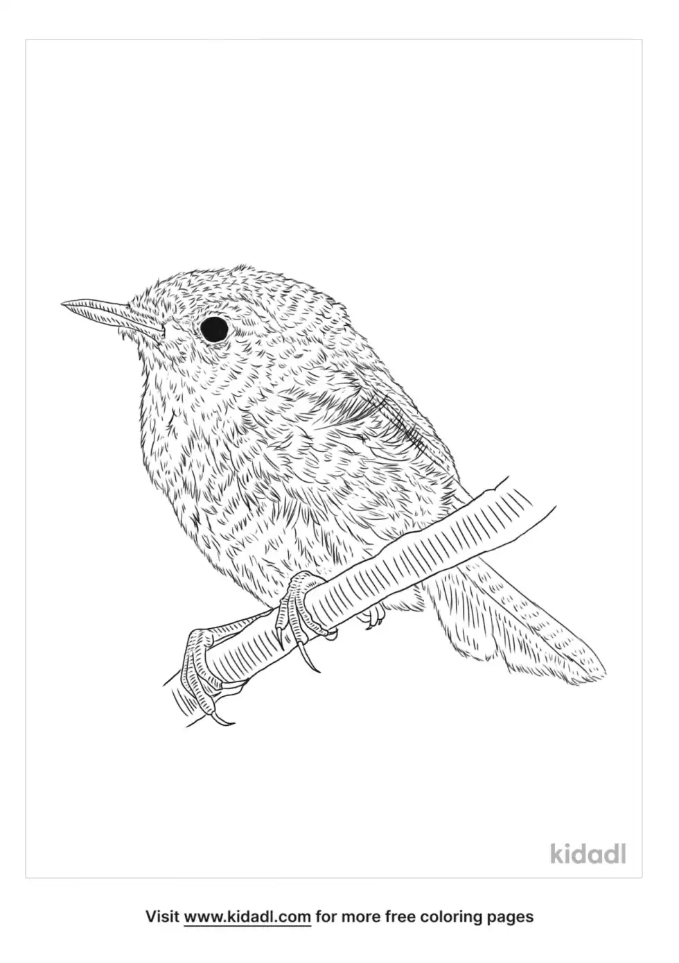 Japanese Bush Warbler Coloring Page