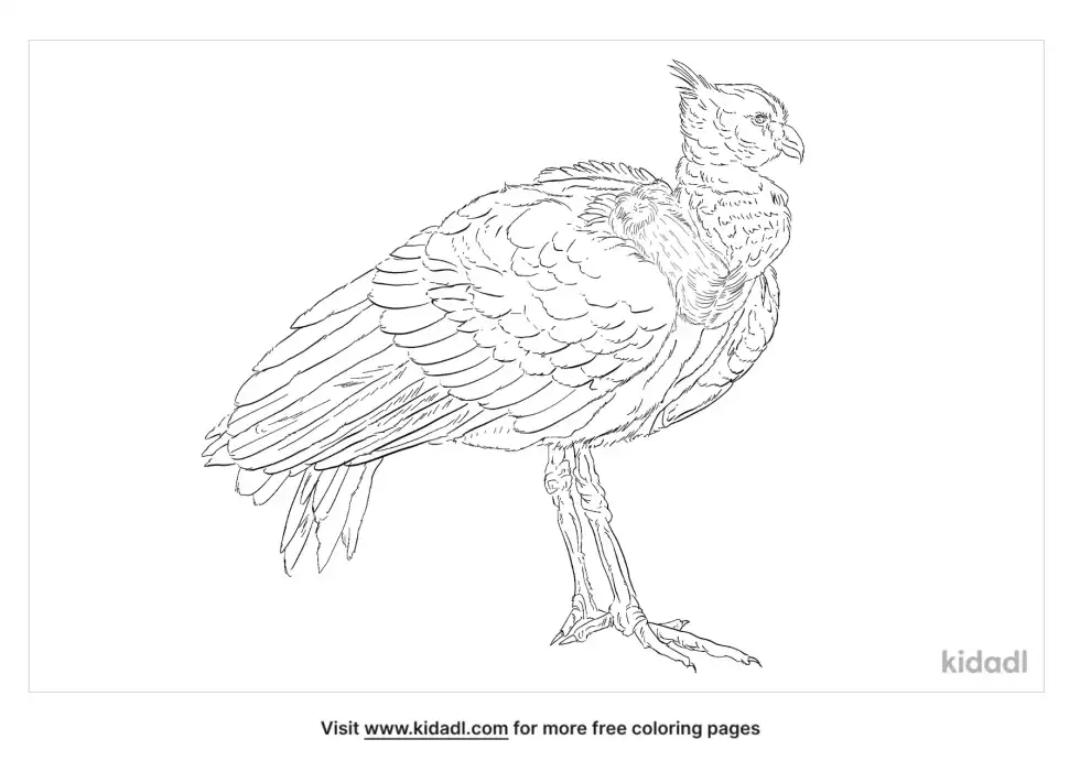 Screamer Coloring Page