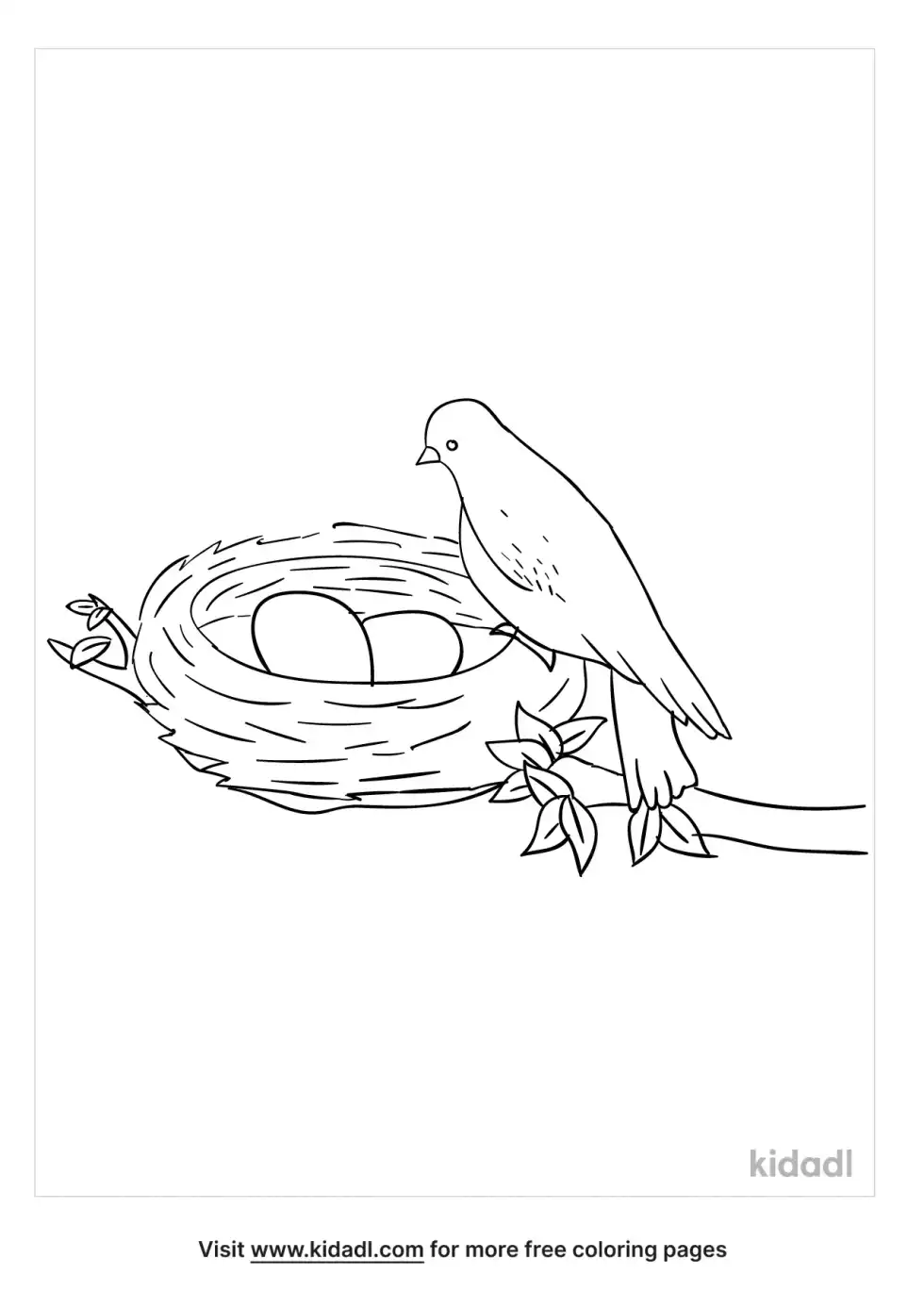 Birds And Eggs Coloring Page