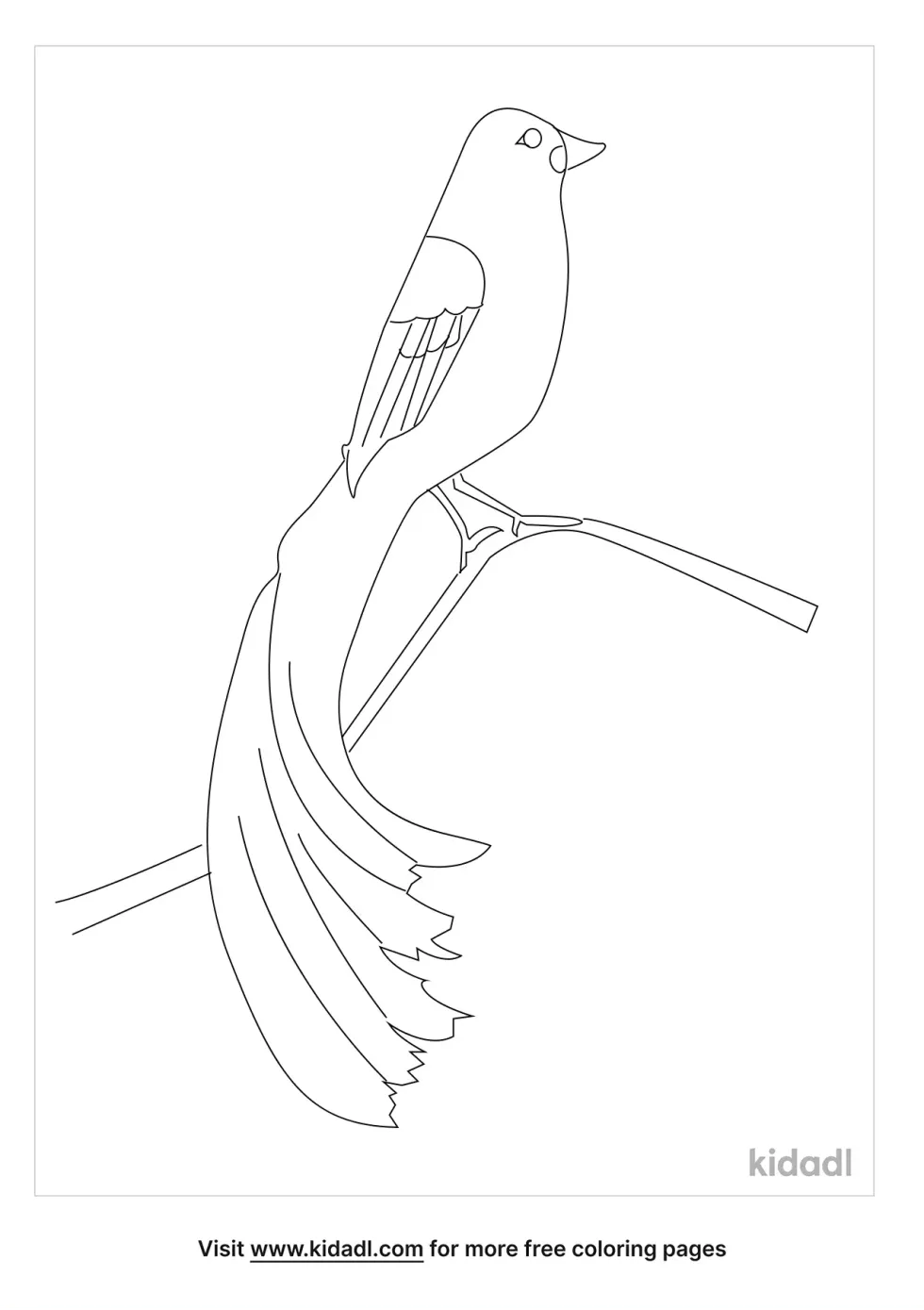 Jackson's Widowbird Coloring Page