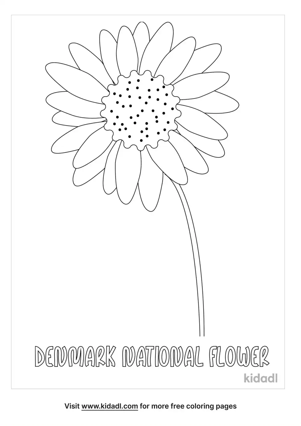 Denmark National Flower Coloring Page