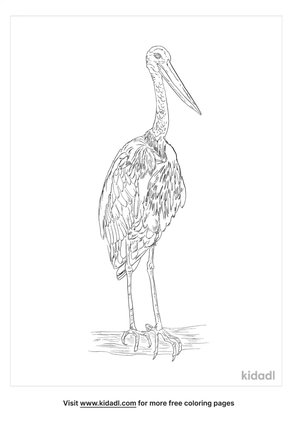 Black-Necked Stork Coloring Page