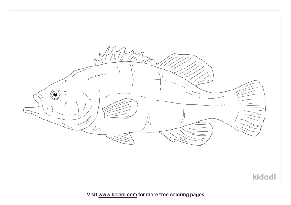 Wreckfish Coloring Page