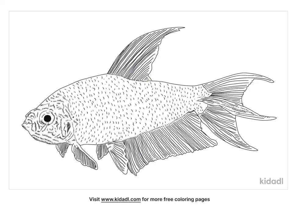 Emeror Tetra Coloring Page
