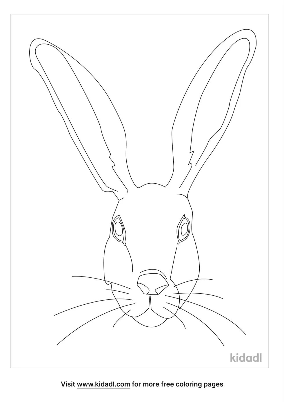 Jack Rabbit Face Only Coloring Page