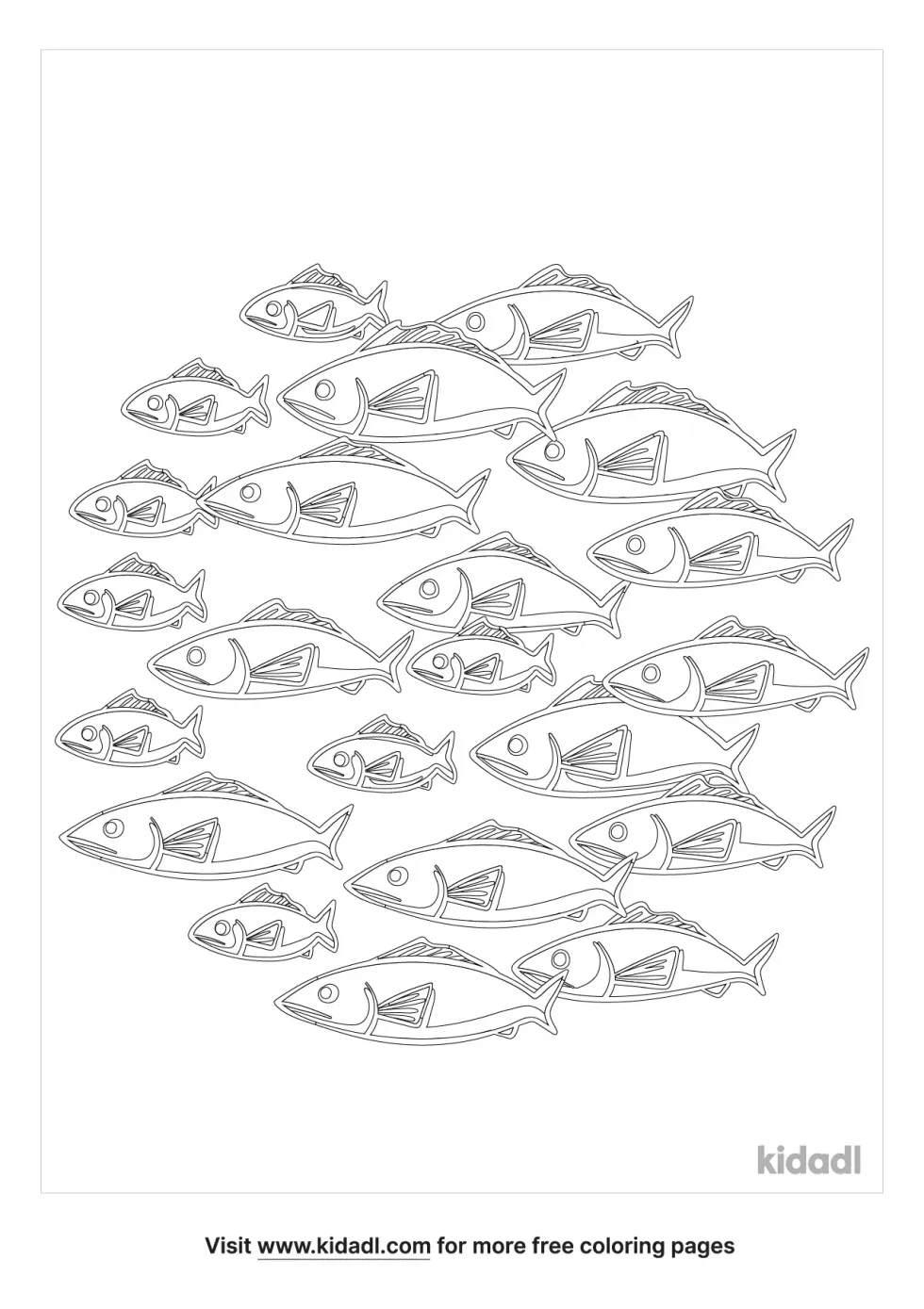 School Of Fish