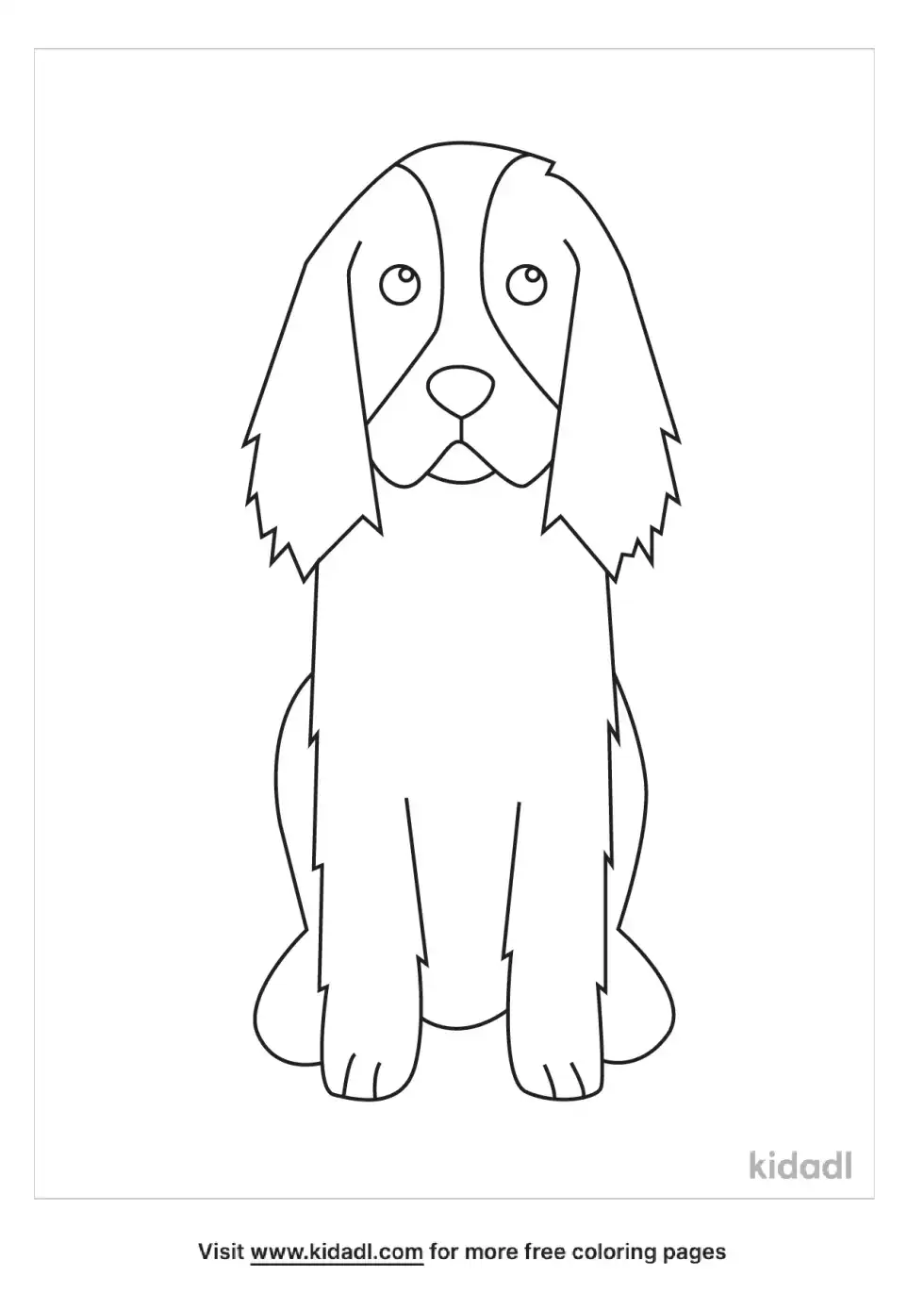 English Springer Spaniel Coloring Page