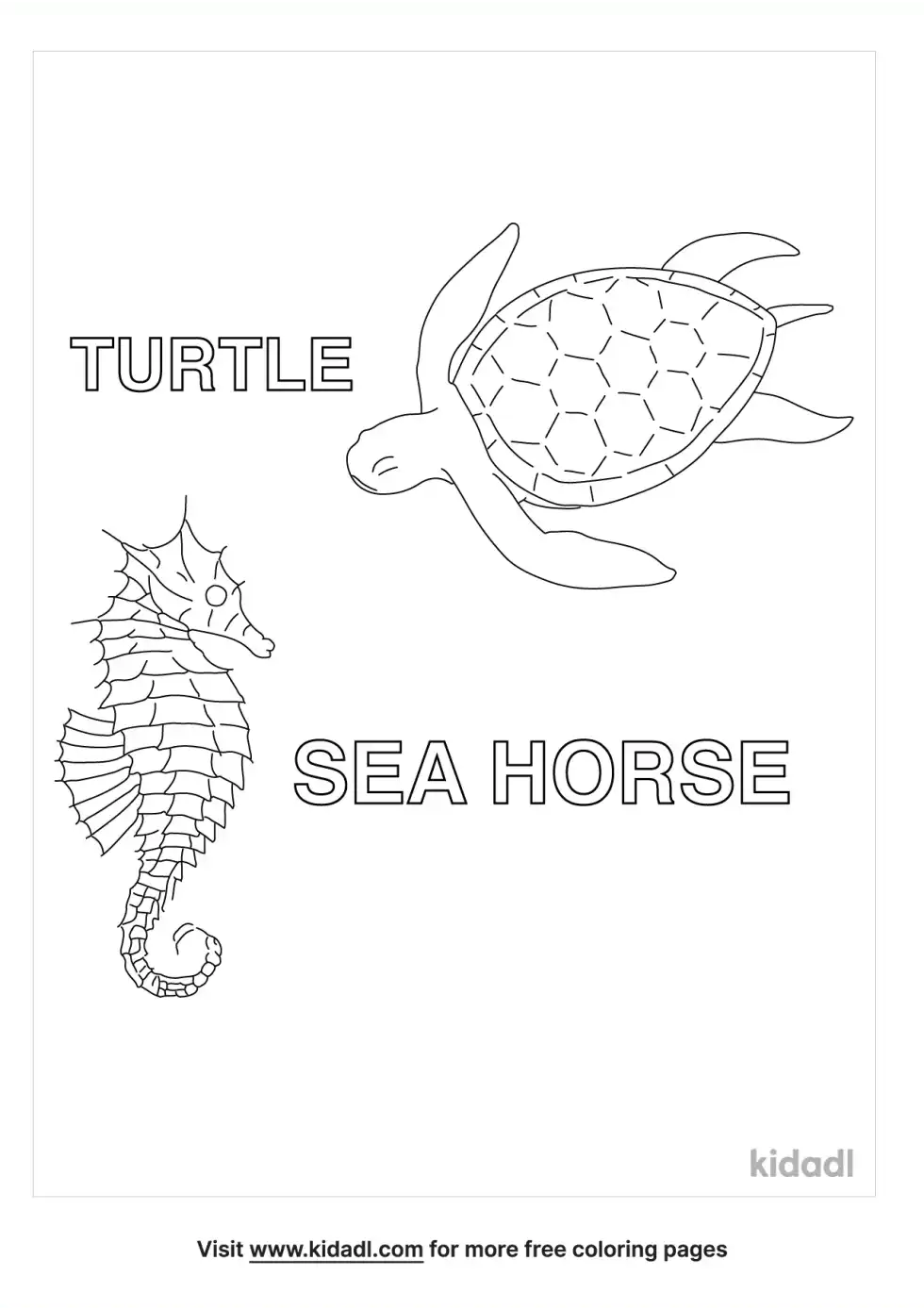 Turtle And Seahorse Coloring Page