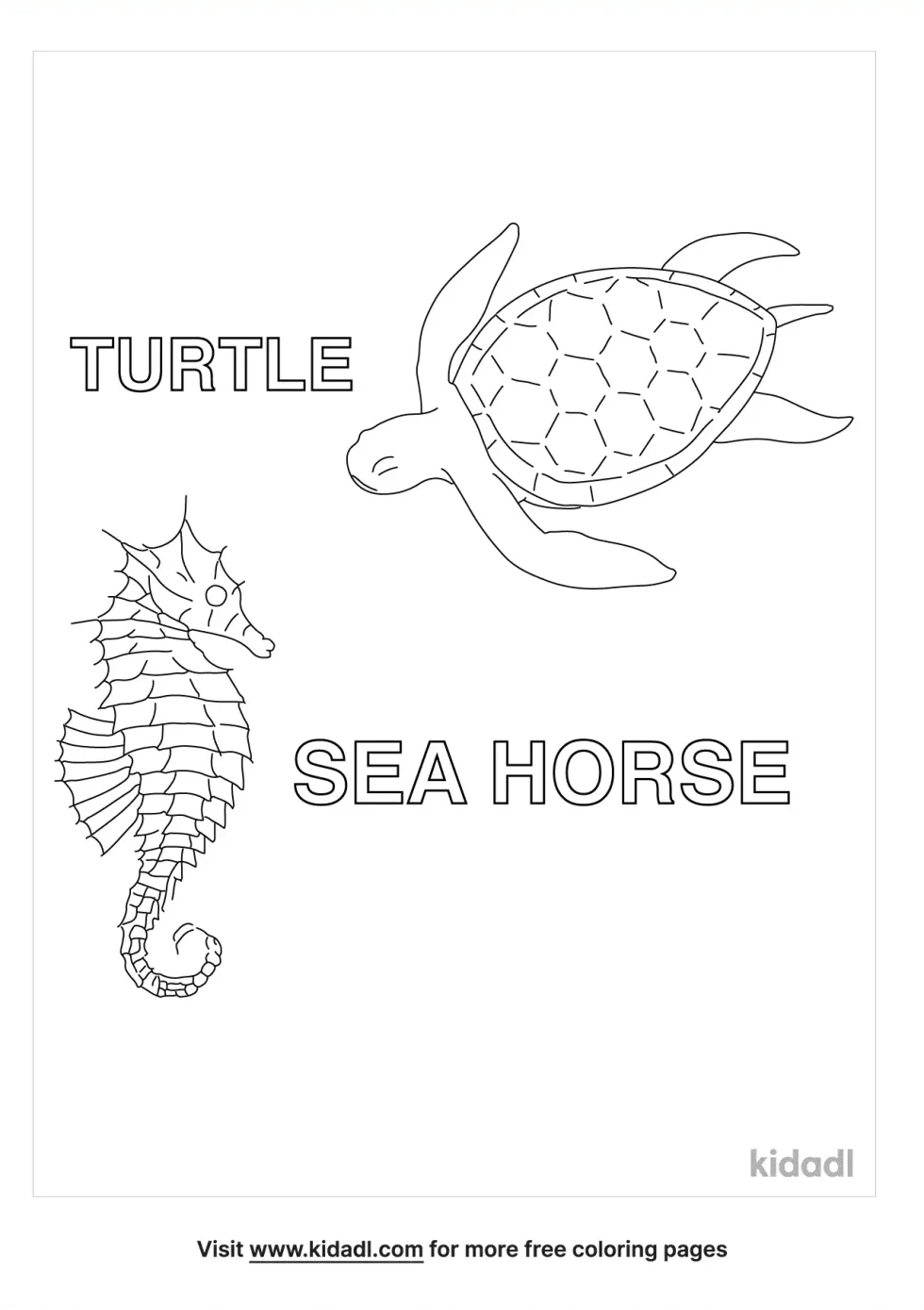 Turtle And Seahorse