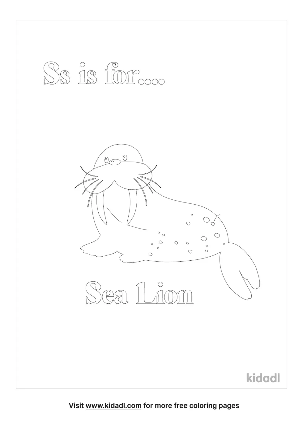S Is For Sea Lion