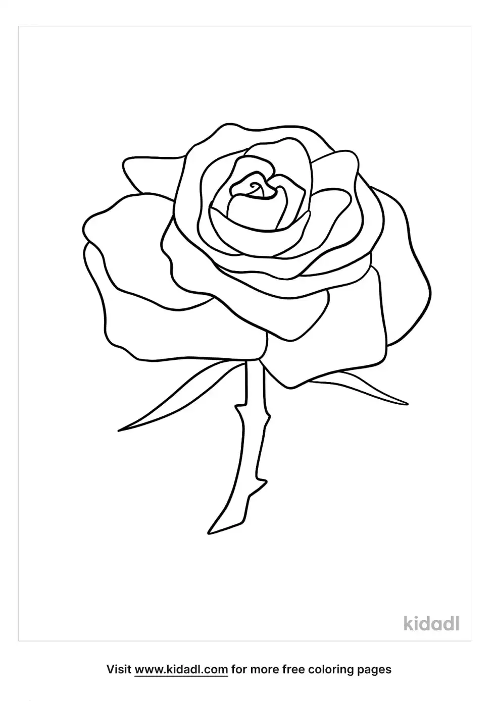 National Flower Of Ecuador Coloring Page