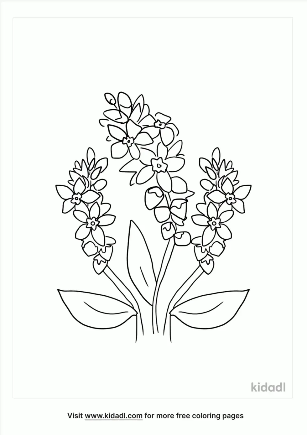 Buckwheat Coloring Page
