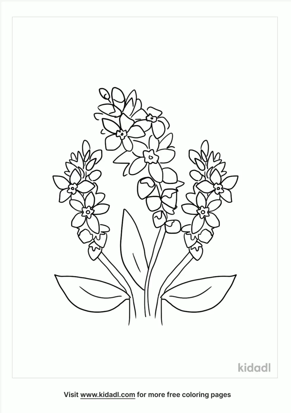 Buckwheat | Kidadl