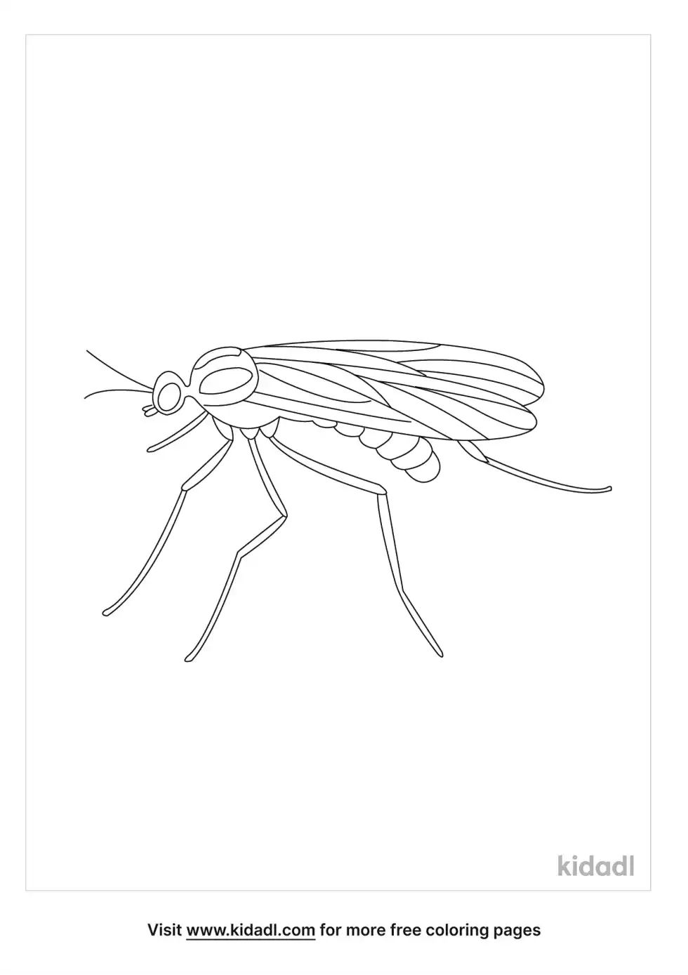 Realistic Katydid Coloring Page