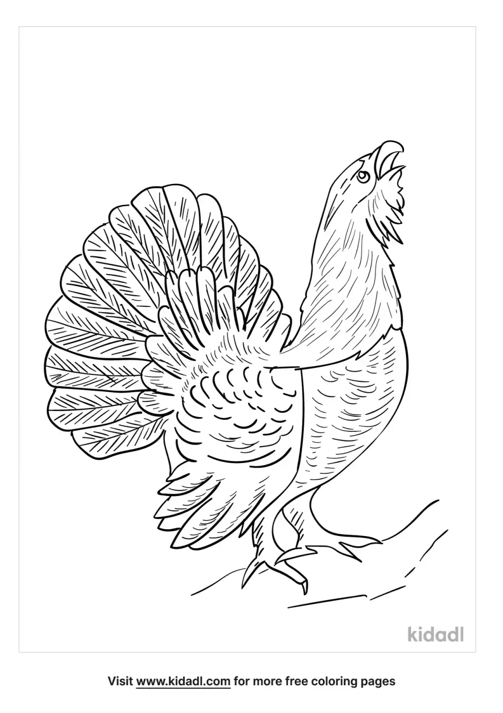 Capercaillie Coloring Page