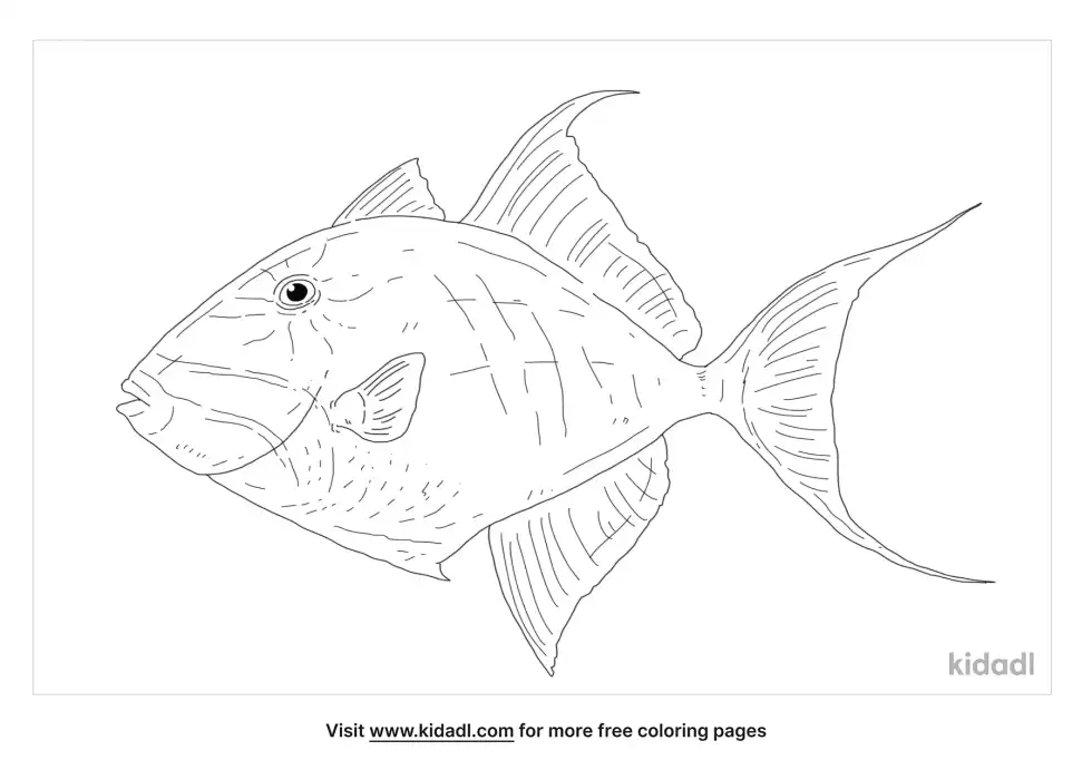 Queen Triggerfish Coloring Page