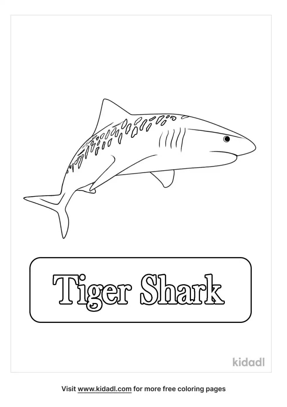 Tiger Shark Coloring Page