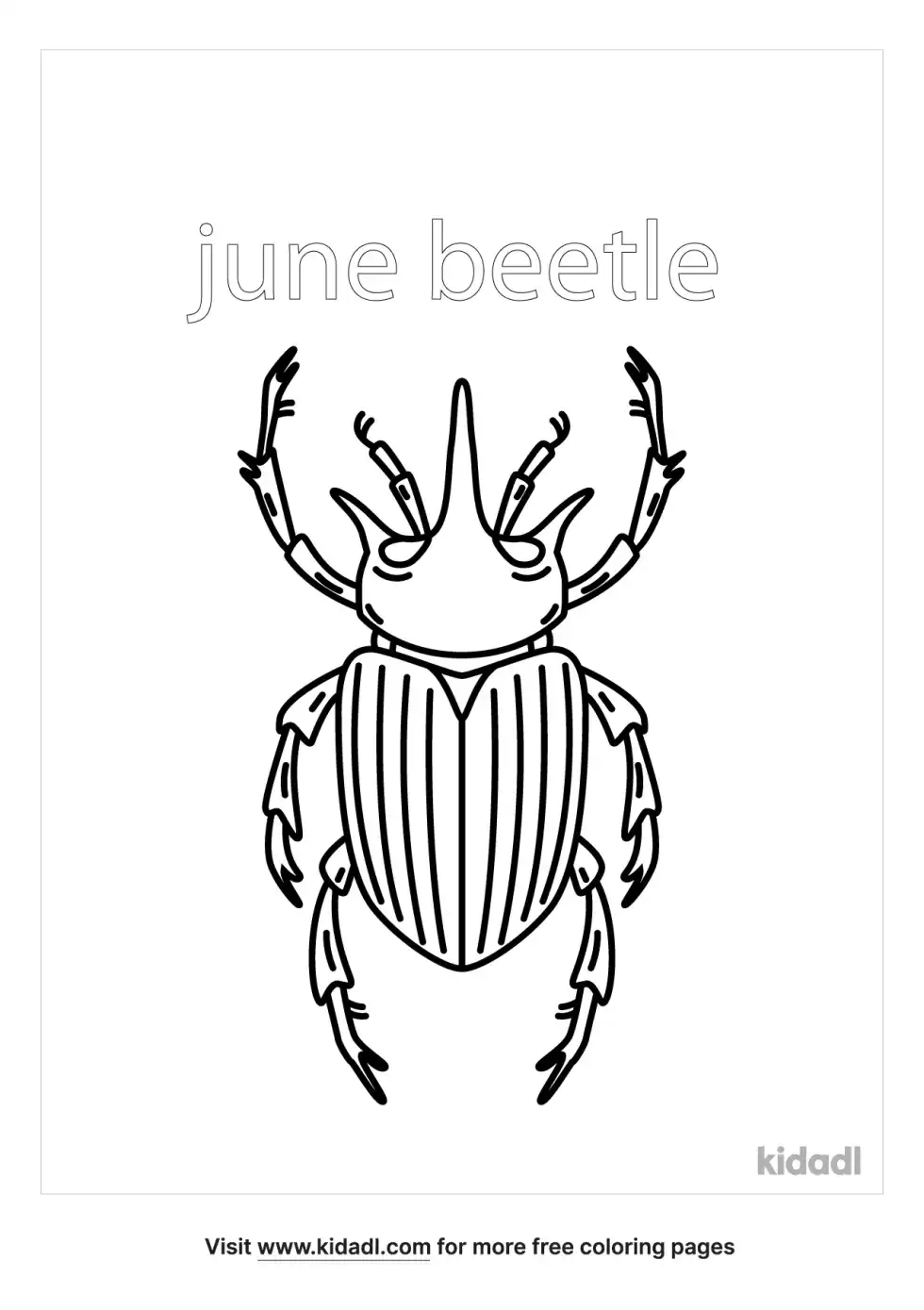 June Beetle Coloring Page