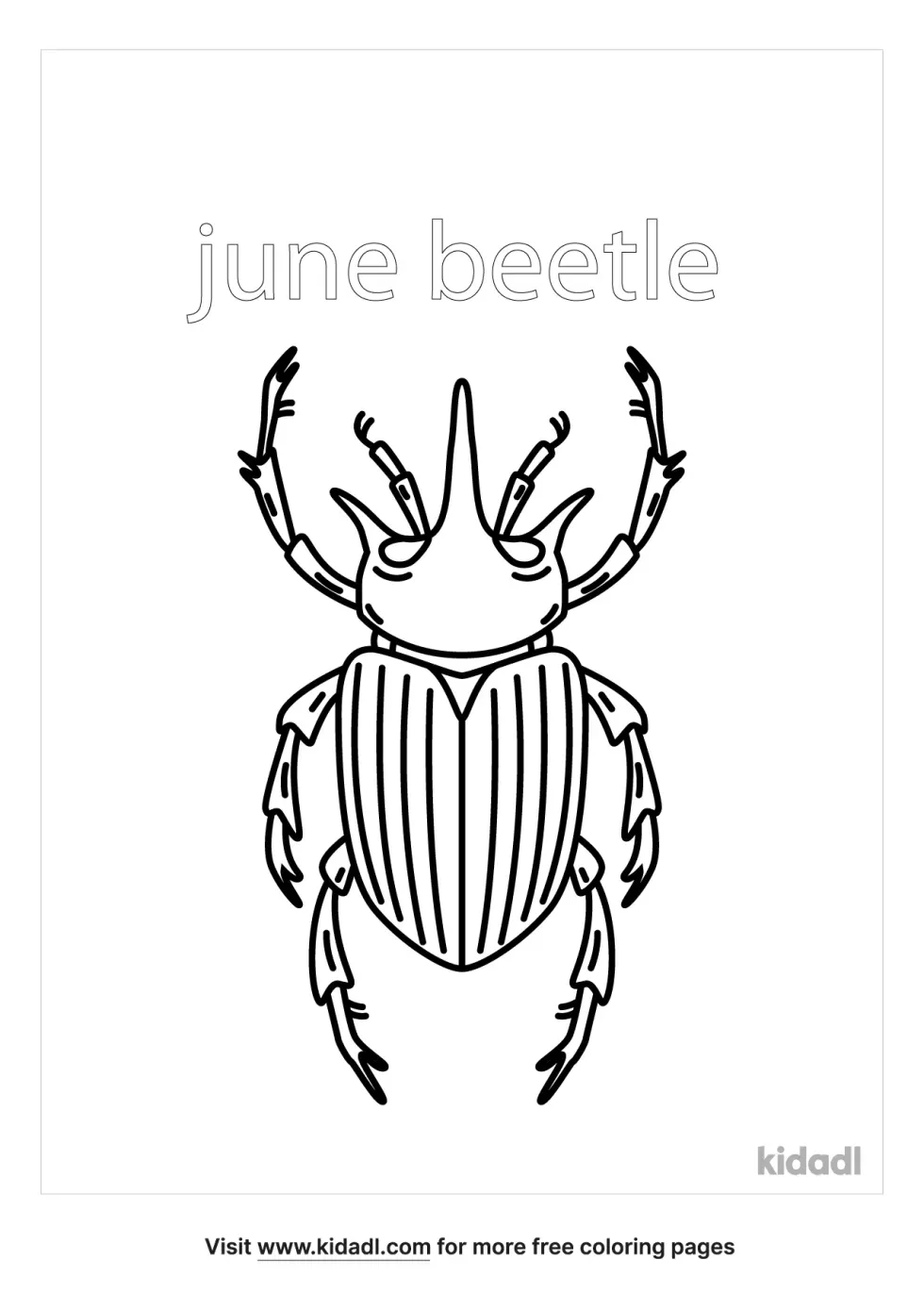 June Beetle Coloring Page