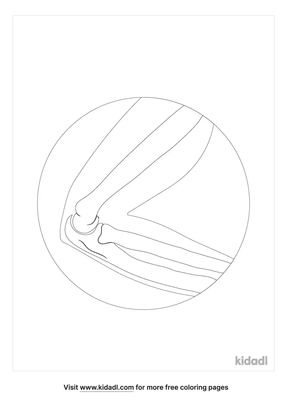 Joint Movements Coloring Page