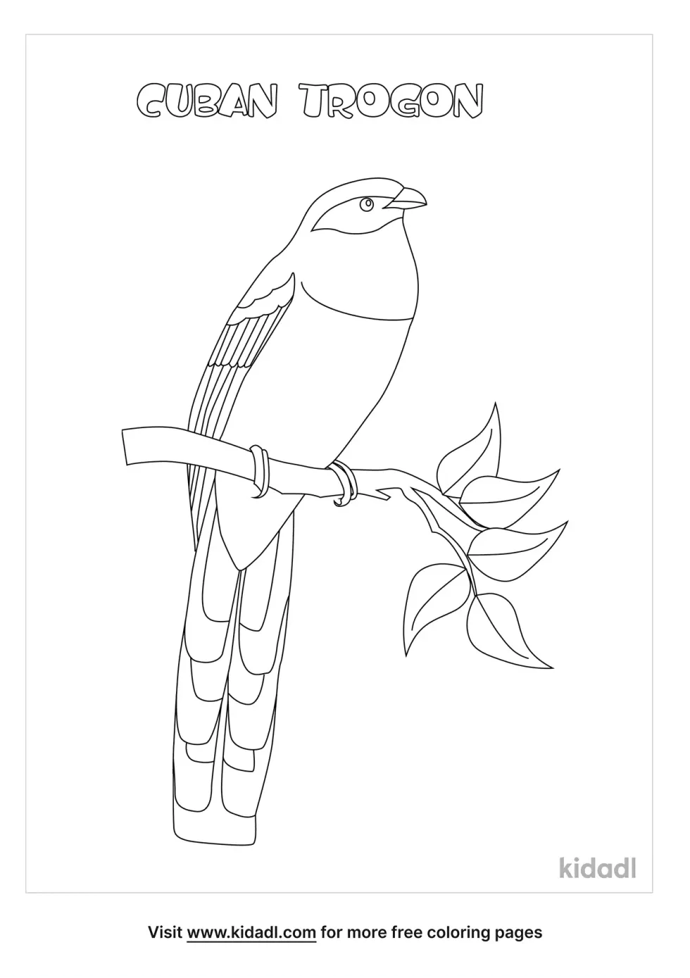 Cuban Trogon Coloring Page