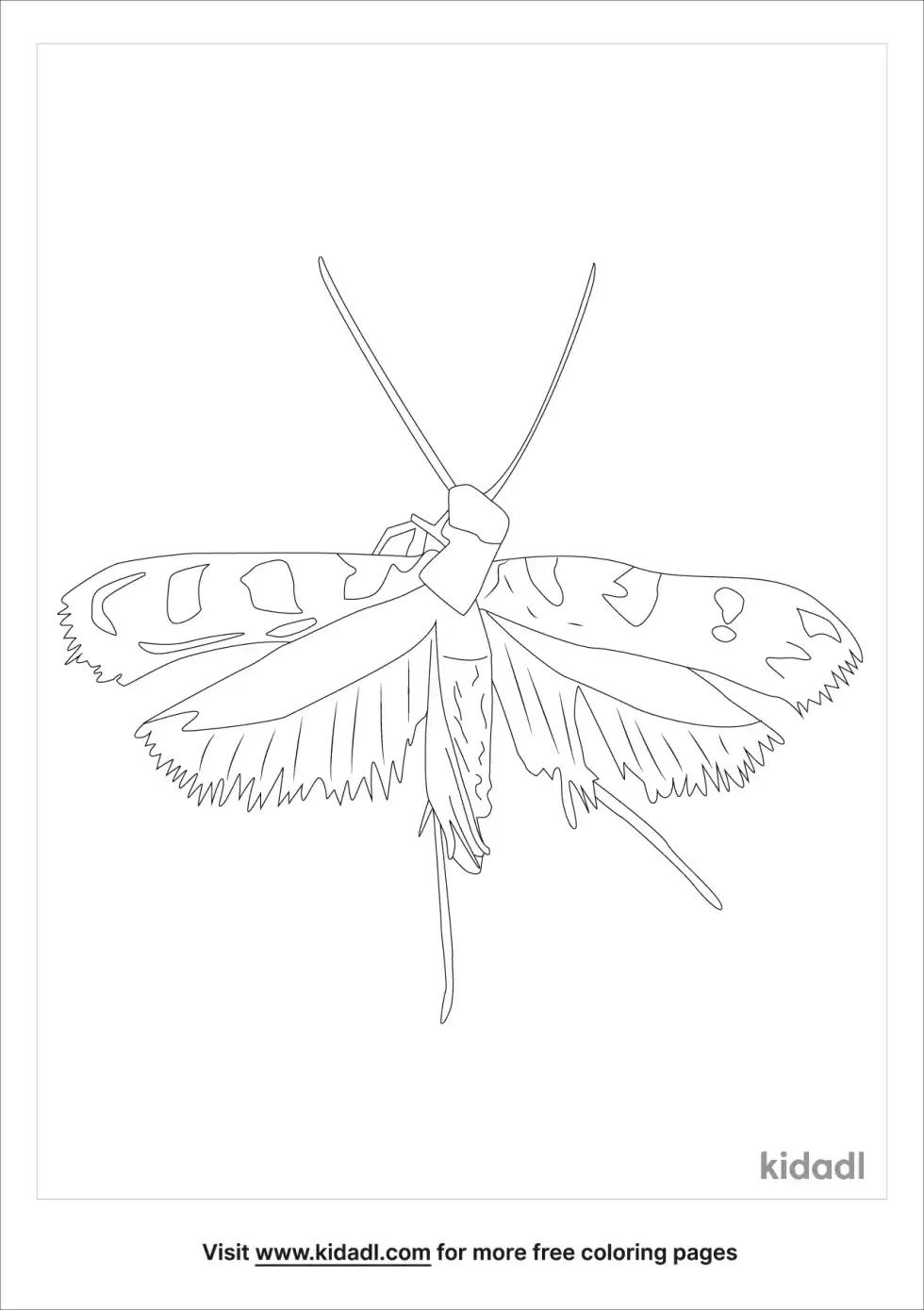 Household Casebearer Coloring Page