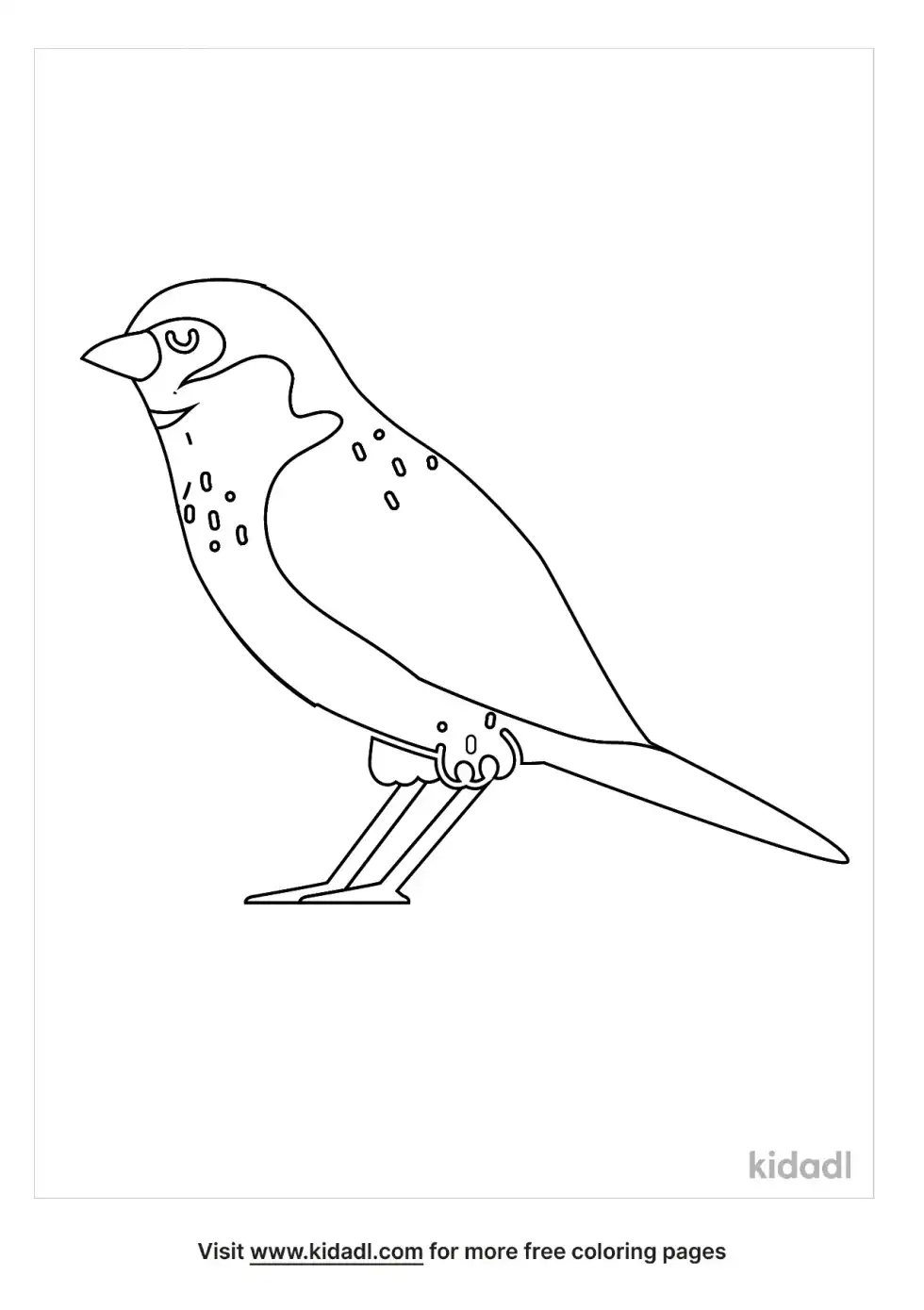 Nebraska Meadowlark Coloring Page