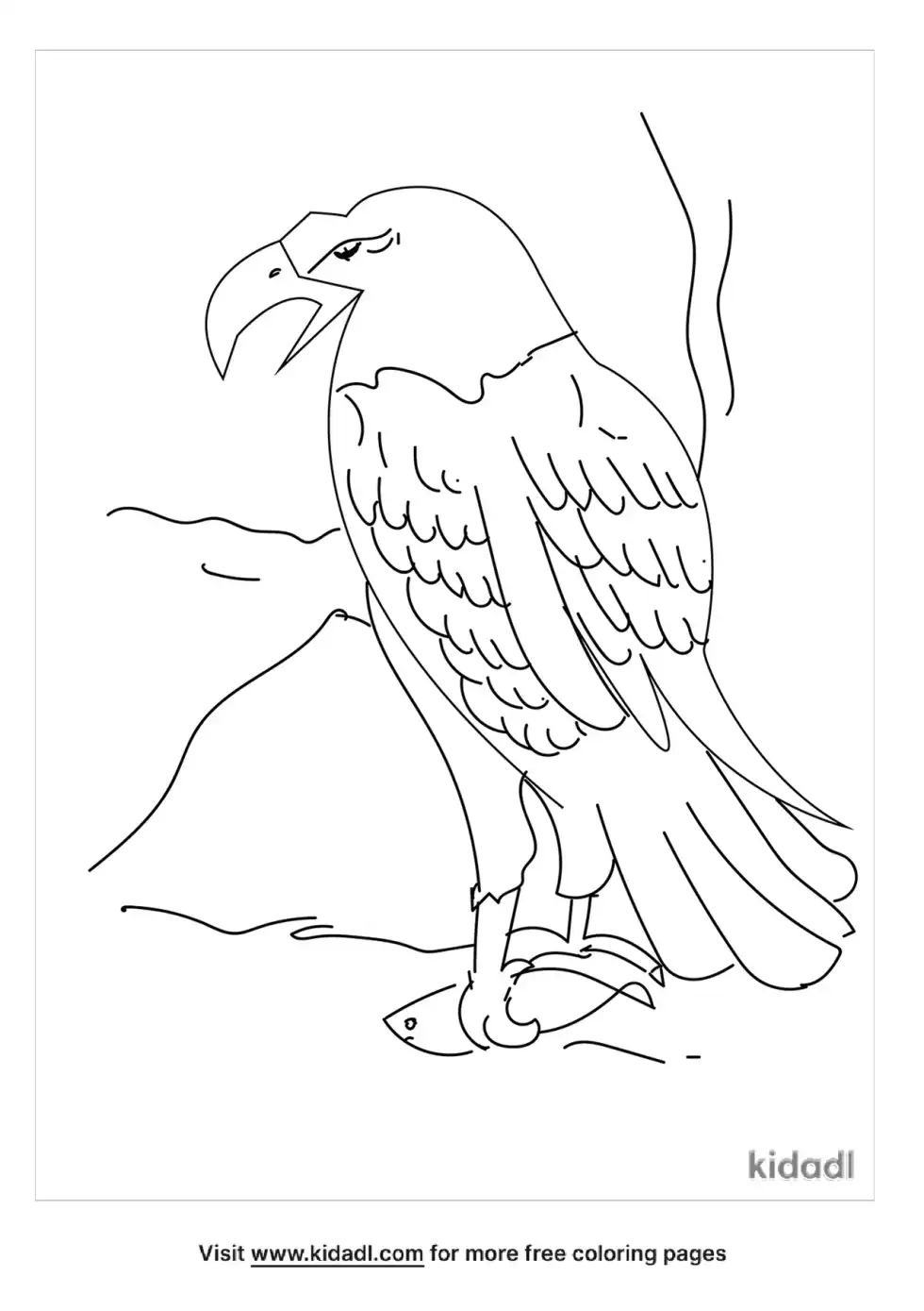 Hawk Coloring Page