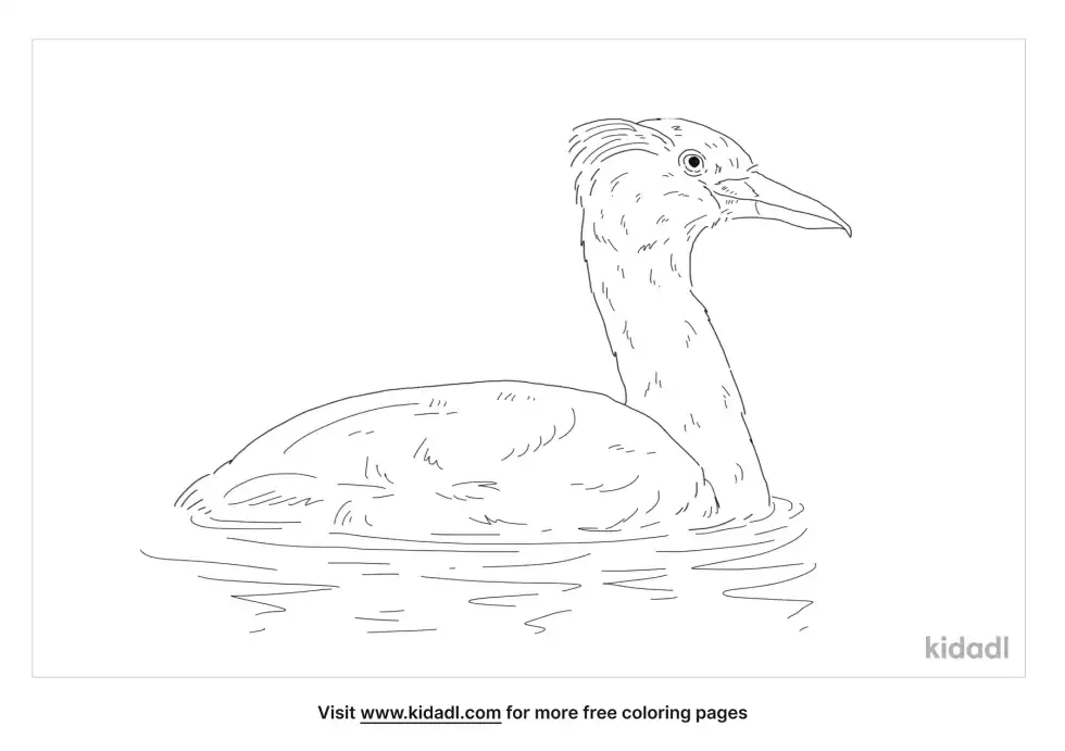 Red-Necked Grebe Coloring Page