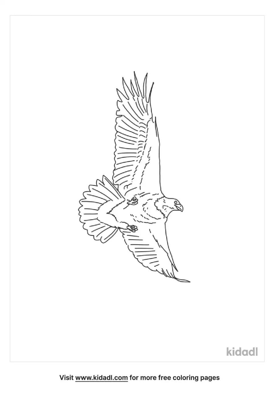 Us National Bird Coloring Page